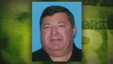 Hayley Paige Wikipedia