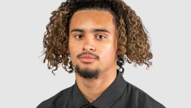 Iona Stephen Wikipedia