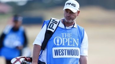 Dr Catherine Hansen Wikipedia